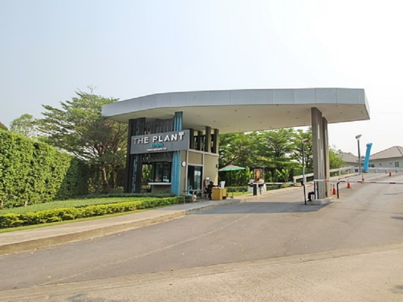 เดอะแพลนท์-ซิมพลีส-รามคำแหง-118